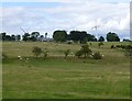 NZ0893 : Coat Yards Farm by Russel Wills