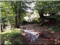 Llwybr Blaen Gwyddgrug / Blaen Gwyddgrug path