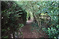 Path off South End, Seaton Ross