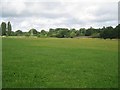 Open space to the south of the Canley Brook, Canley, Coventry