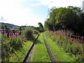 NY6293 : Trackbed of Border Counties Railway near Catcleugh by Andrew Curtis