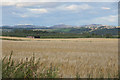 Fields at Airntully