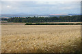 Fields at Airntully