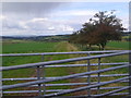 Gates on Falla Farm near Jedburgh