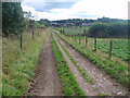 Track on Falla Farm near Jedburgh