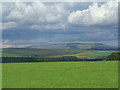 Grazing land on Falla Farm near Jedburgh