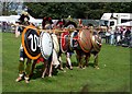 Greeks advance at Detling Show Ground