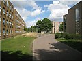 Path between residences, University of Warwick, Coventry