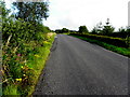 Whitebridge Road, Fallaghearn