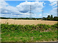 Pylons in fields by Itchel Home Farm