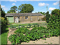 View across the vegetable patch