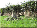 Triangulation pillar beside field boundary hedge