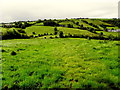 The rolling hills of County Tyrone