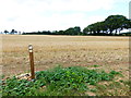 Footpath takes right-angled turn in field between Park Corner and Penn Croft Farms