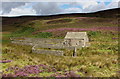 SD6956 : Sheepfold in Croasdale (1) by Chris Heaton