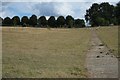 Blantyre prison sewage outfall