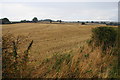 Wheat fields near Grindley