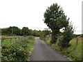 The High Road approaching its junction with Lackan Road