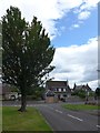 Looking back from Sauchie Place towards Sauchie Road