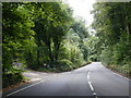 A4118 at Kilvrough Manor Woods