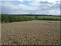 Crop field near Barrowden