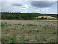 Farmland and woodland