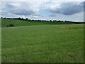 Undulating farmland near Home Farm