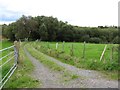 Private farm road leading through woodland from the Flush Road