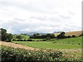 Drumlins and inter-drumlin hollow east of Flush Road, Ballyroney