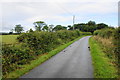 Lane near Wanfield Hall