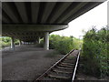 Under the M4 near Briton Ferry