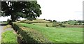 View east towards the White Hill drumlin