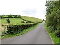 The north side of White Hill from Flush Road