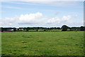 A field of cows near Woodcock Heath