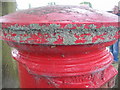 Lichen on a postbox