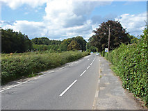 TQ0450 : A25, Shere Road by Alan Hunt
