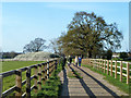 Walking on a pleasant spring day