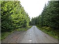 NN8945 : Road, Griffin Forest by Richard Webb