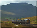 SD7580 : Small train, big hill, Ribblehead by Karl and Ali