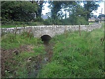 NU2517 : Bridge over a small burn at Howick by Graham Robson