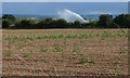 SP0650 : Irrigation near Abbot's Salford by Christine Johnstone