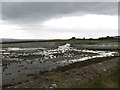 J5946 : Stream flowing over exposed beach mud north of Kilclief Point by Eric Jones