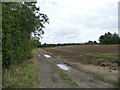 Farm track near Bullybrook