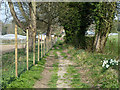 Footpath towards Croydon Lane