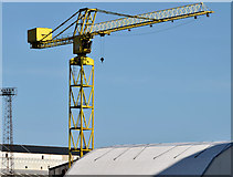 J3575 : Crane, Harland & Wolff, Belfast - August 2014(2) by Albert Bridge
