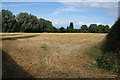 Harvested wheat field near Bramshall