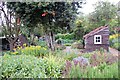 TQ4875 : Kitchen garden and shed, The Red House by Trevor Harris