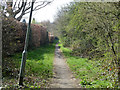 Footpath along edge of Banstead Downs