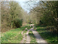 Bridleway Banstead 3