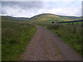 Track to Blakedean near Yetholm